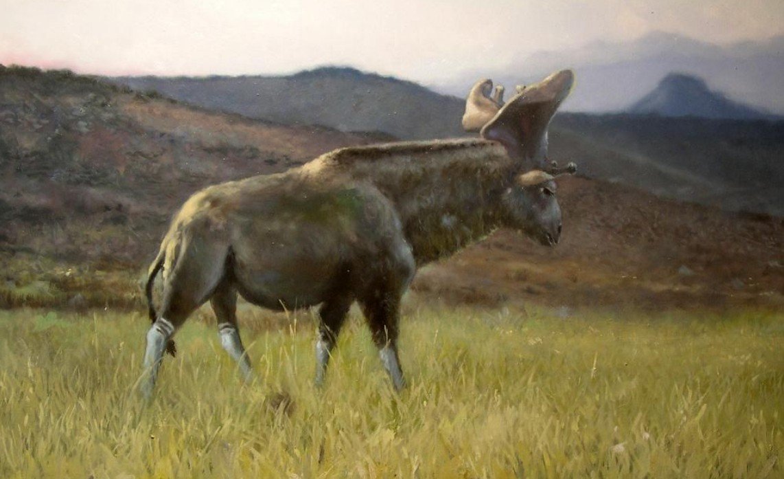 When did Sivatherium go extinct